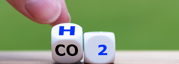 Dices showing H2O and CO2.
