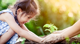Girl planting a green plant