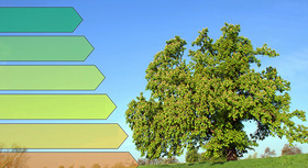 grüne Wiese mit Energieeffizienz-Skala