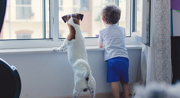 Hund und Kind schauen aus dem Fenster